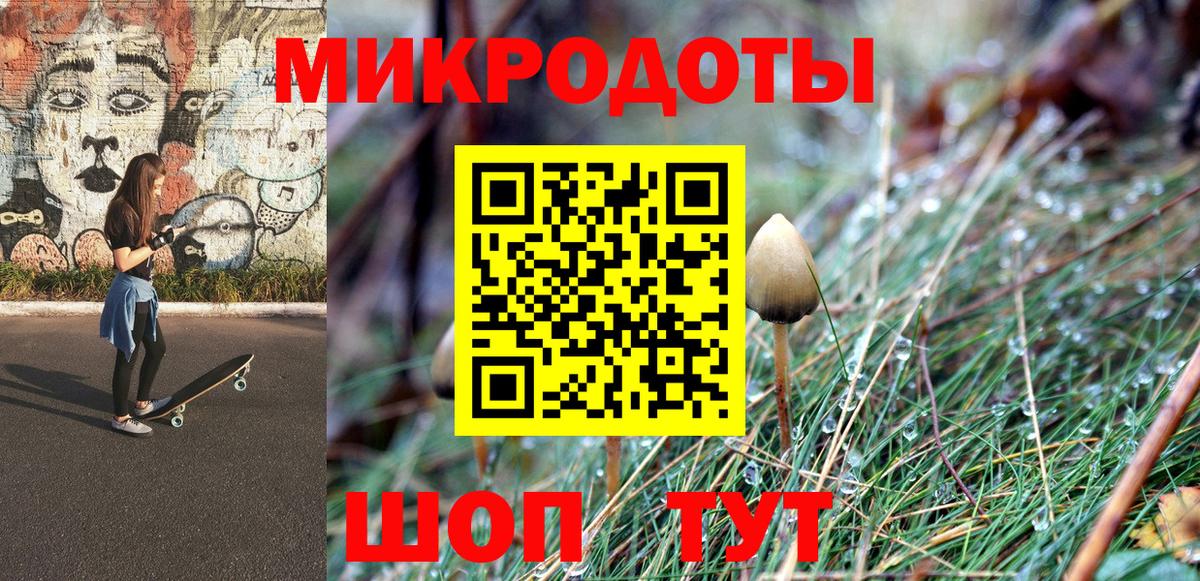 Псилоцибиновые грибы Cubensis Волгодонск