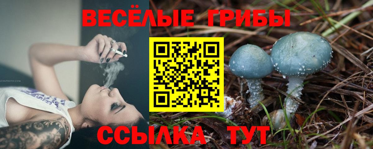 Галлюциногенные грибы Magic Shrooms  Галлюциногенные грибы GOLDEN TEACHER  Вход с VPN  Волгодонск 